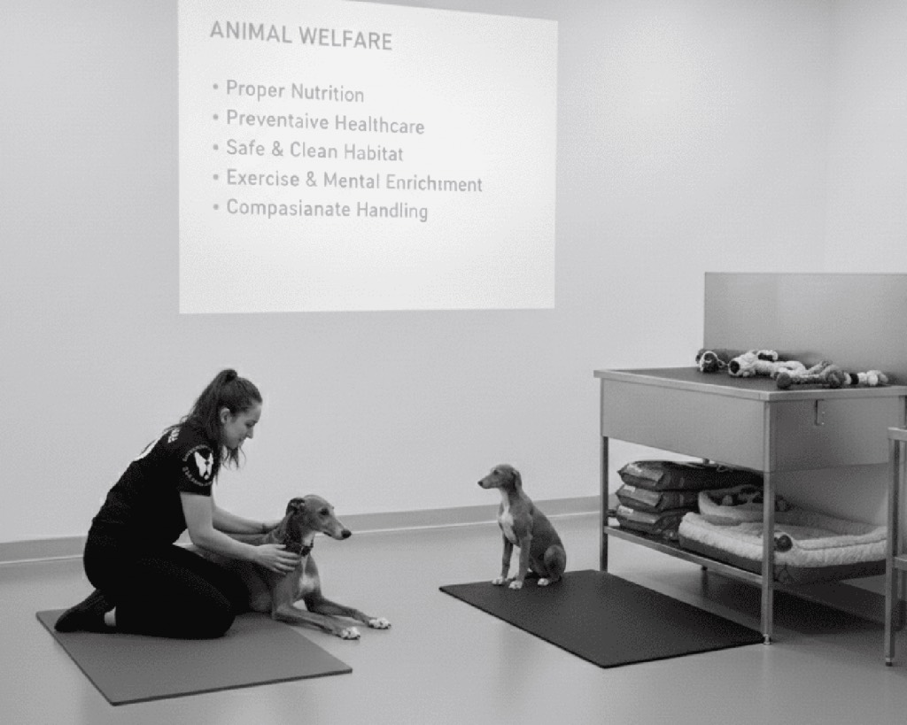 Animal Welfare