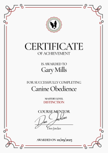 Certificate of Achievement example