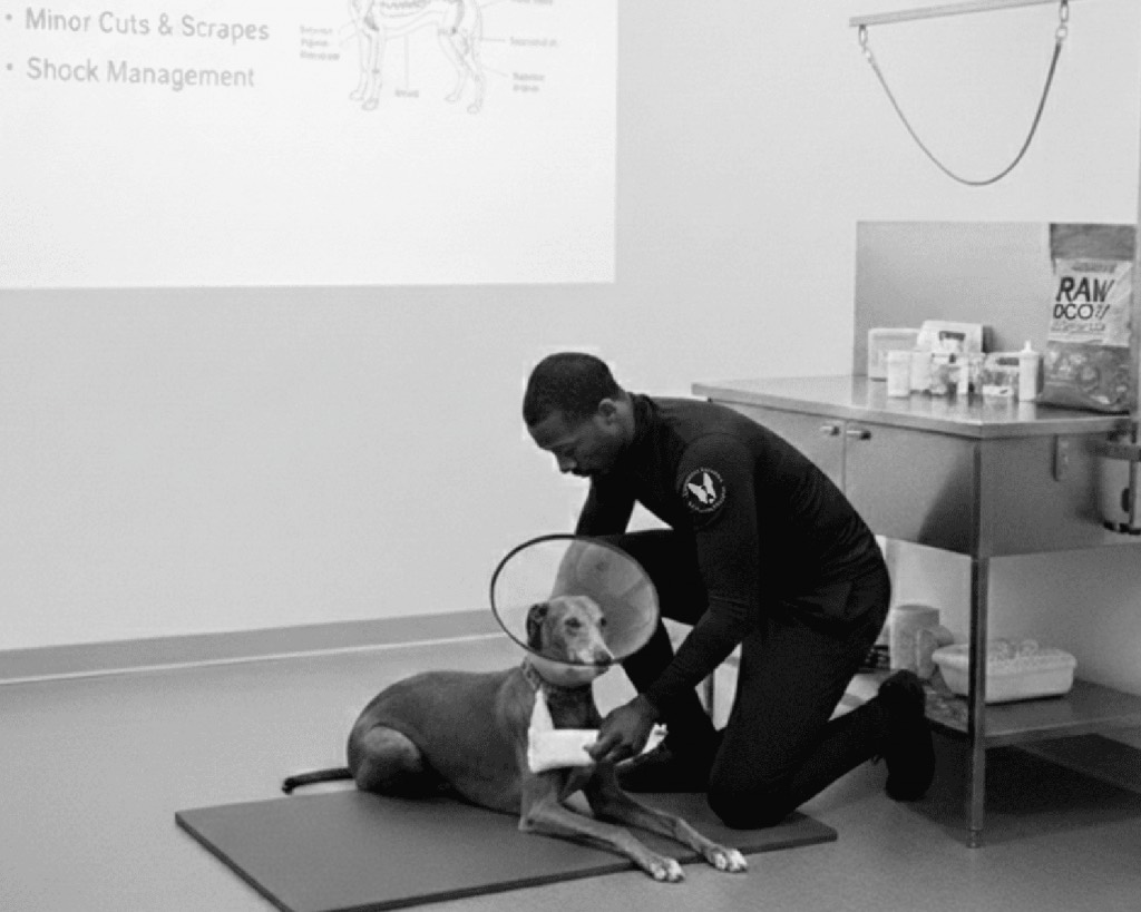 First Aid