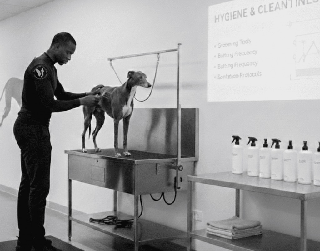 Hygiene and Cleanliness